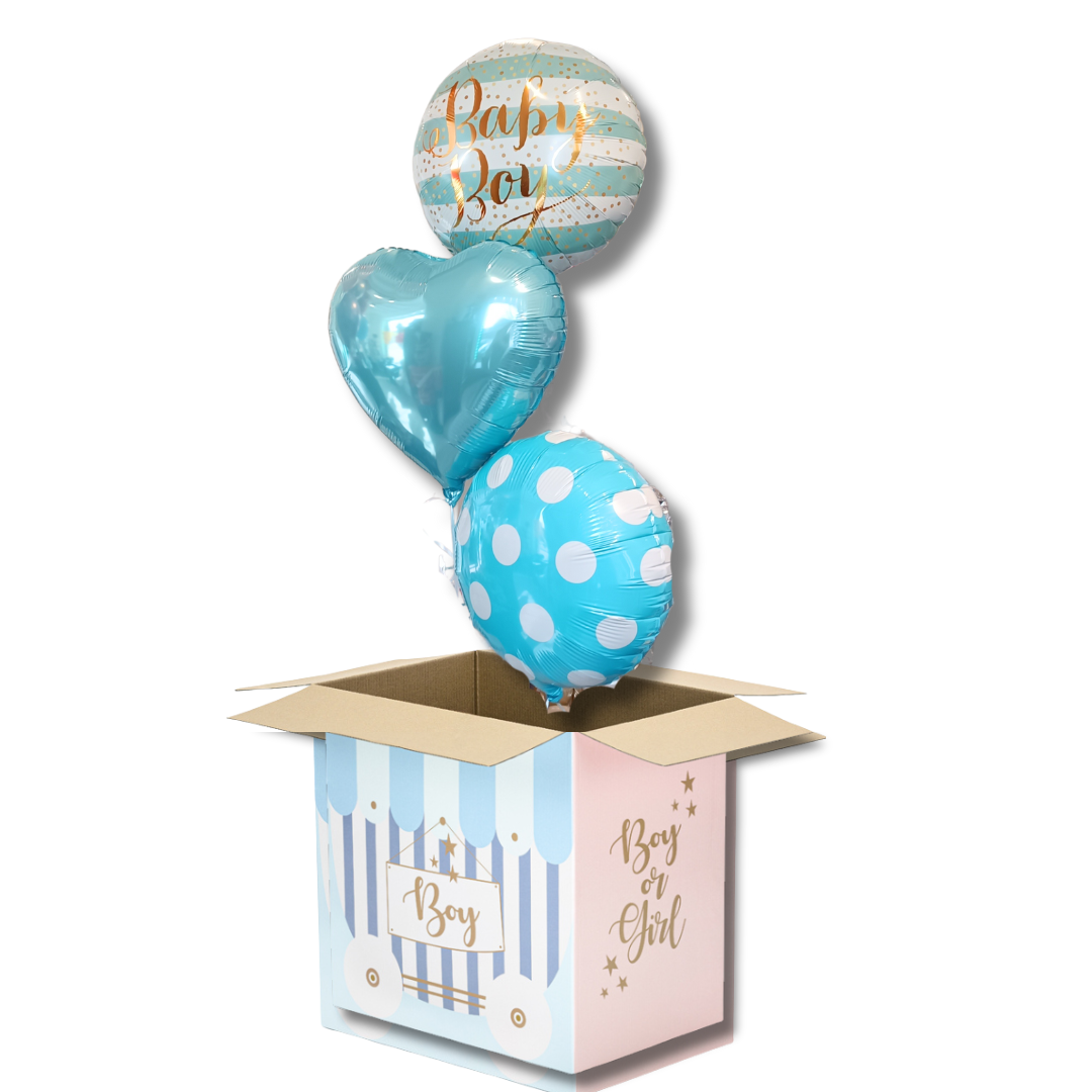 Gender reveal Box Boy 