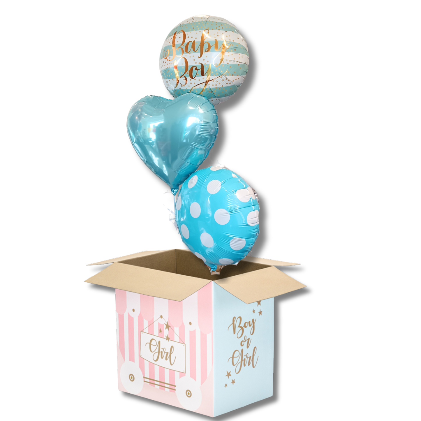 Gender reveal Box Boy 