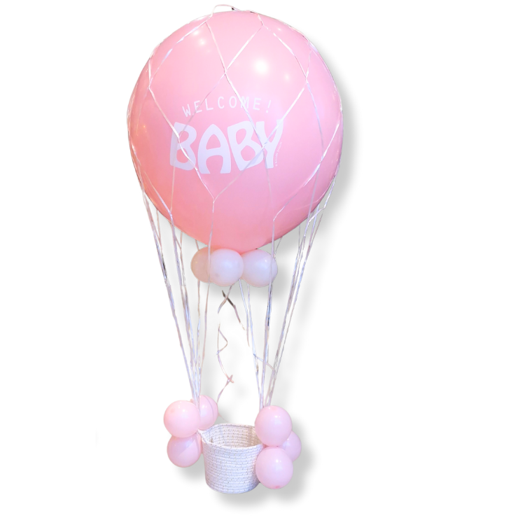 Dream welcome baby rose