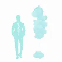 Taille lollipop.webp