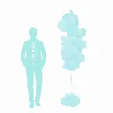 Taille lollipop.webp