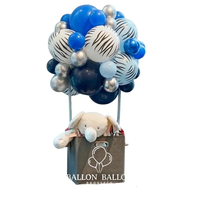 Organische luchtballon Jongens