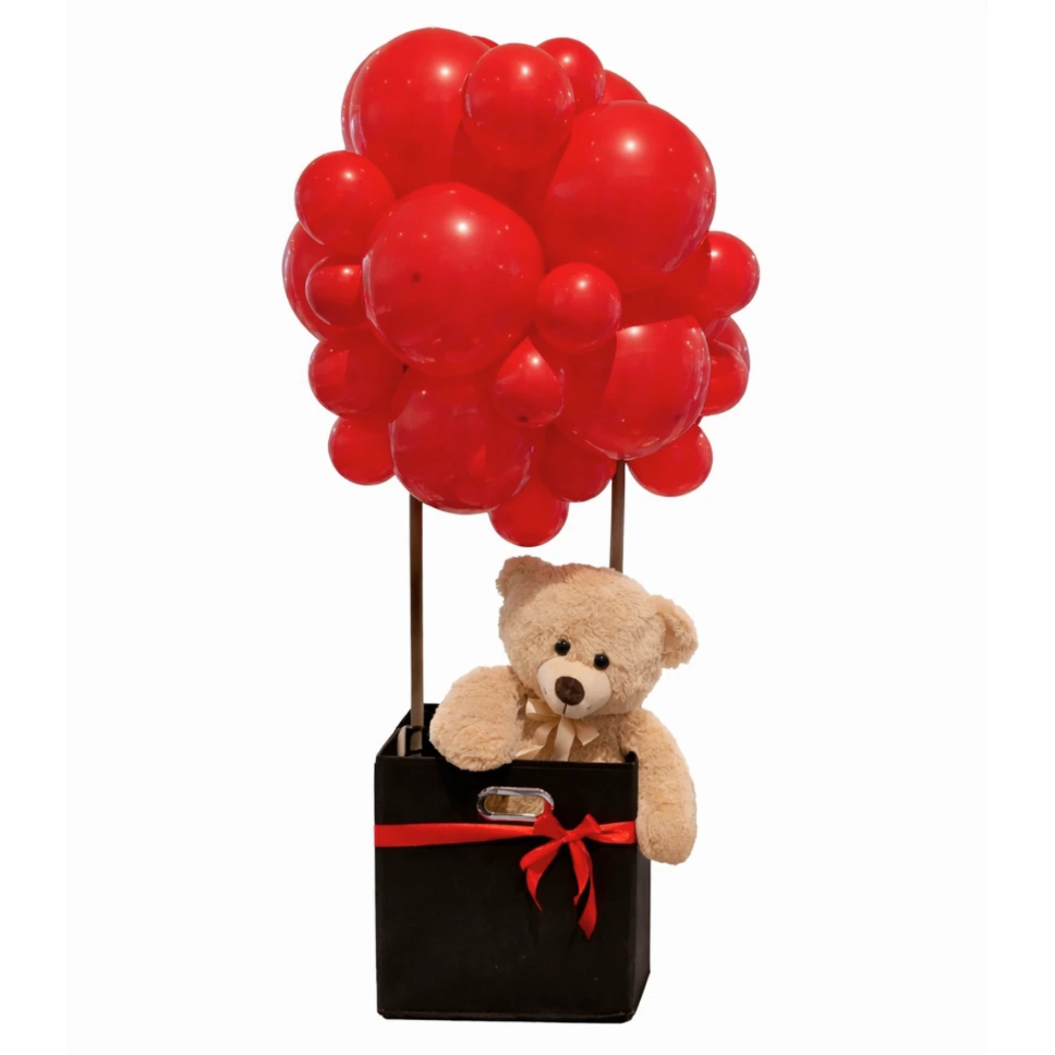 Montgolfière organique Love + peluche